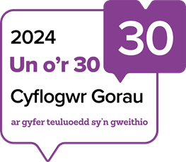 Bathodyn cyflogwyr gorau Working Families