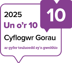 Llun yn cynnwys testun, bedyddfaen, gwaith graffig, llun sgrin

Gall cynnwys a gynhyrchwyd gan AI fod yn anghywir.
