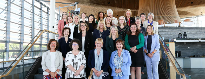 Cawcws Menywod y Senedd