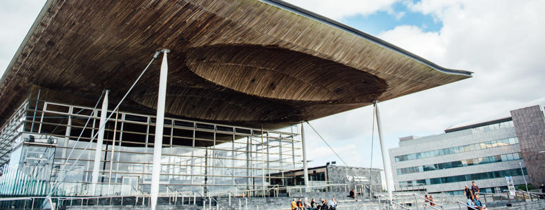 Y Senedd, Bae Caerdydd