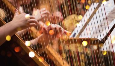 Llun agos o rywun yn chwarae'r delyn.