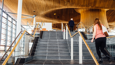 Y Senedd