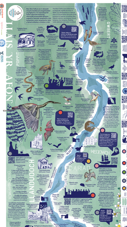 Map darluniadol o Afon Teifi yn dangos bywyd gwyllt, tirnodau lleol a phwyntiau o ddiddordeb ar hyd yr afon.