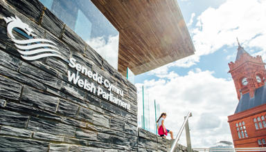 Woman sitting on Senedd steps