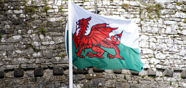 Ar y clawr mae llun o faner draig goch Cymru yn cyhwfan o flaen wal castell.