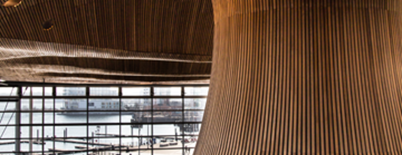 Inside the Senedd