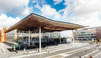 Y Senedd, Bae Caerdydd