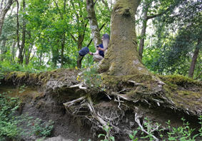 Cheryl Beer yn y Choedwigoedd Glaw Cymru