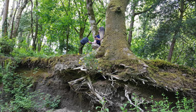 Cheryl Beer yn y Choedwigoedd Glaw Cymru