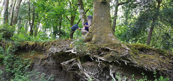 Cheryl Beer yn y Choedwigoedd Glaw Cymru