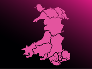 Mae’r llun hwn yn addurniadol.