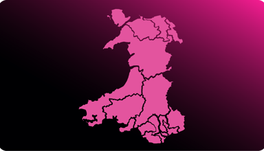 Mae’r llun hwn yn addurniadol.