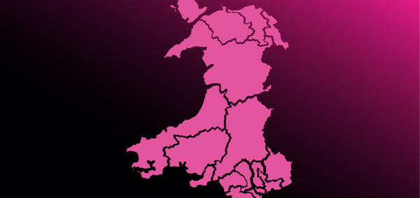 Mae’r llun hwn yn addurniadol.