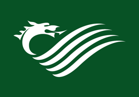 Dragon on green background