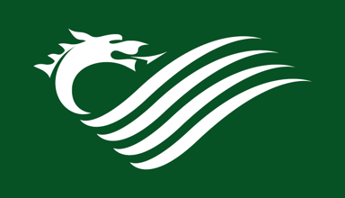 Dragon on green background