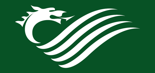 Dragon on green background